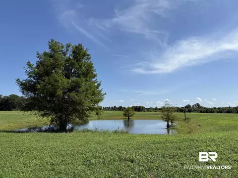 Weeks Road, Foley, AL 36535 photo 3