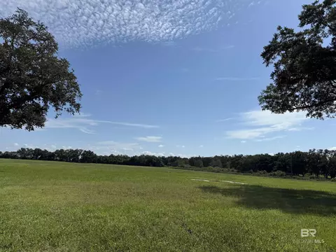 10010 Weeks Rd, Foley, AL 36535