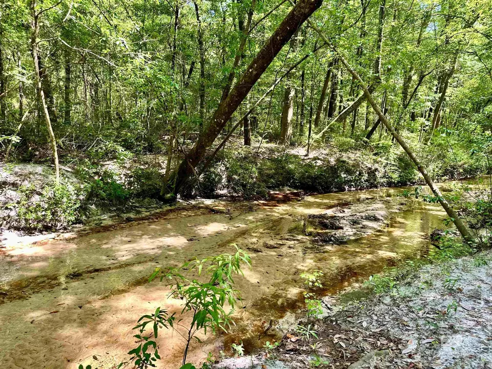  9276 Highway 29, Brewton, AL 36426 photo 32