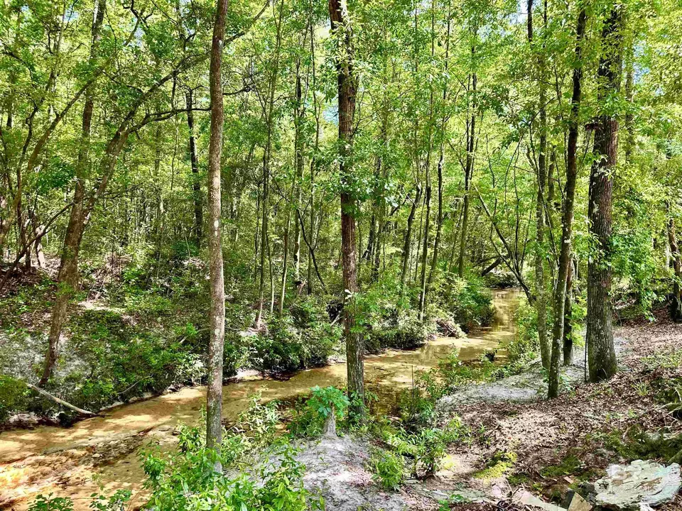  9276 Highway 29, Brewton, AL 36426 photo 36