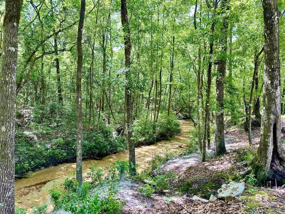  9276 Highway 29, Brewton, AL 36426 photo 21