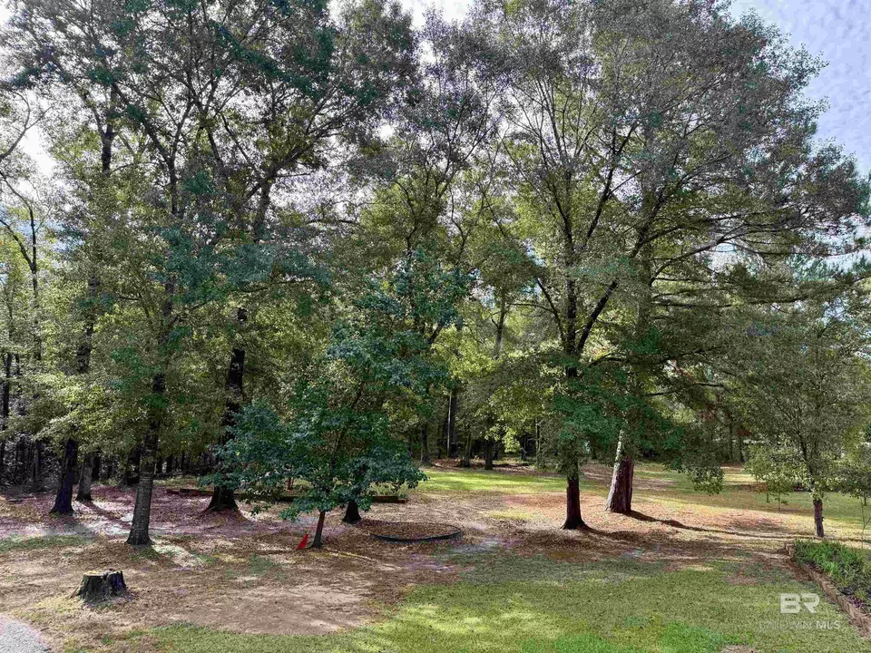  9276 Highway 29, Brewton, AL 36426 photo 19