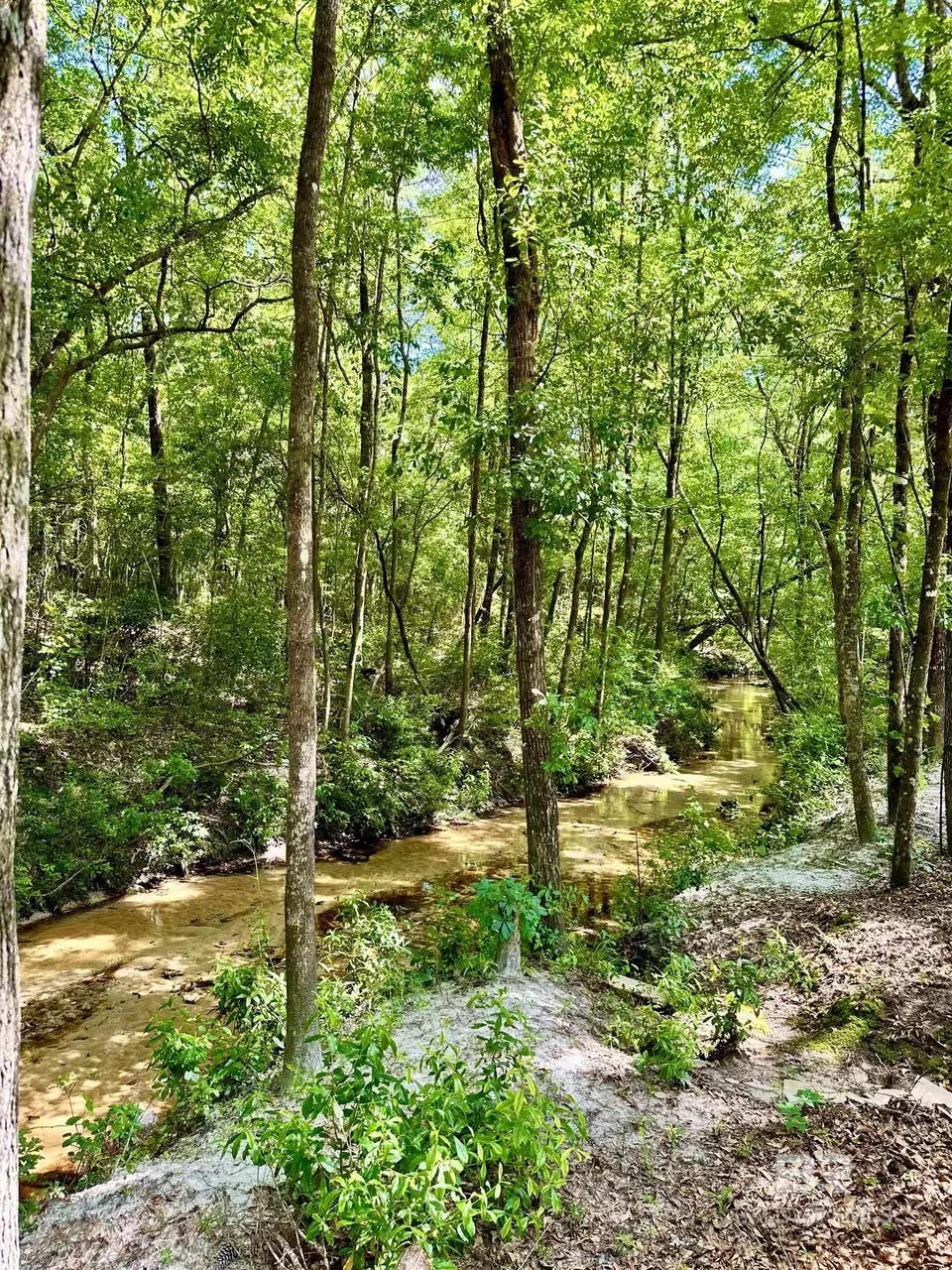  9276 Highway 29, Brewton, AL 36426 photo 38