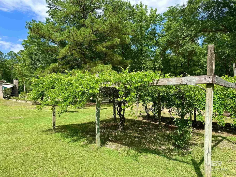  9276 Highway 29, Brewton, AL 36426 photo 41