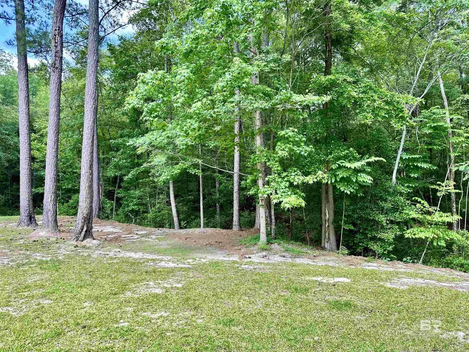  9276 Highway 29, Brewton, AL 36426 photo 37