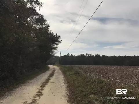 24050 N River Rd, Daphne, AL 36526 photo 5