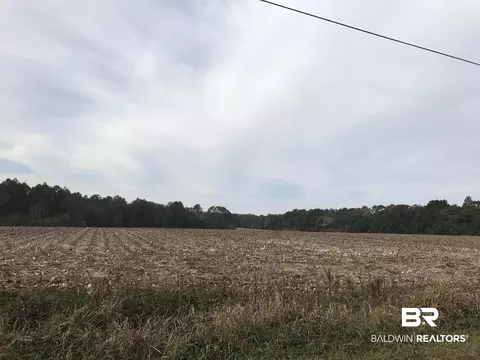 24050 N River Rd, Daphne, AL 36526 photo 7