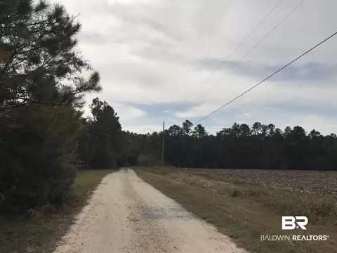 24050 N River Rd, Daphne, AL 36526 photo 4