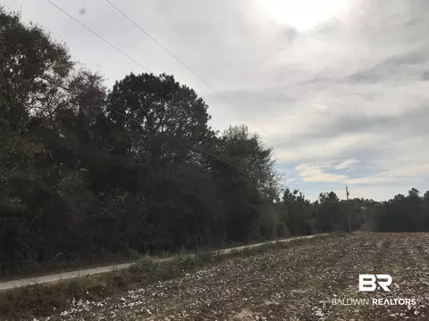 24050 N River Rd, Daphne, AL 36526 photo 9