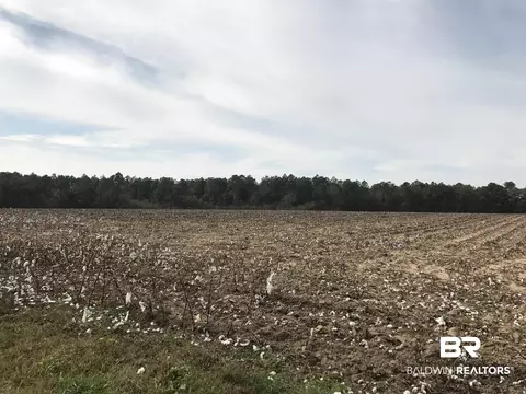 24050 N River Rd, Daphne, AL 36526 photo 8