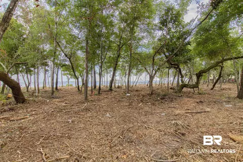 0 Spring Branch Rd, Elberta, AL 36530 photo 8