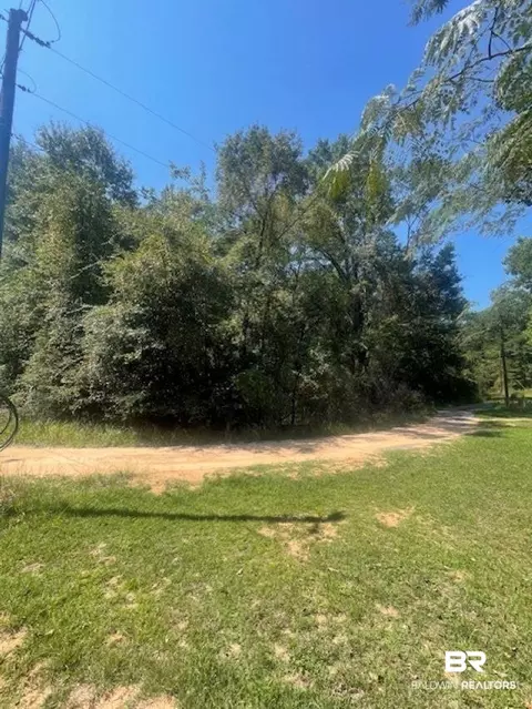 0 Mims Rd, Chunchula, AL 36521 photo 4