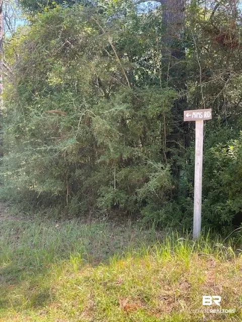 0 Mims Rd, Chunchula, AL 36521 photo 2