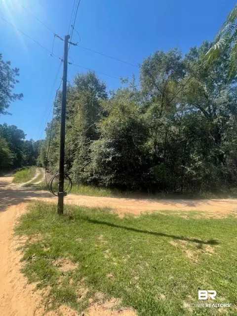 0 Mims Rd, Chunchula, AL 36521 photo 3