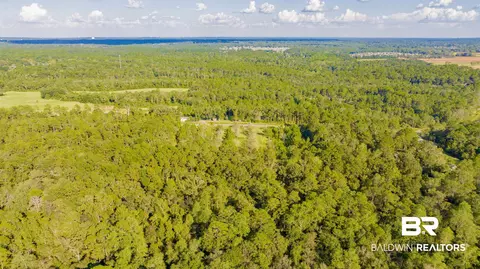 0 W Johnson Rd, Mobile, AL 36695 photo 8