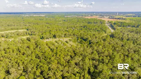 0 W Johnson Rd, Mobile, AL 36695 photo 7