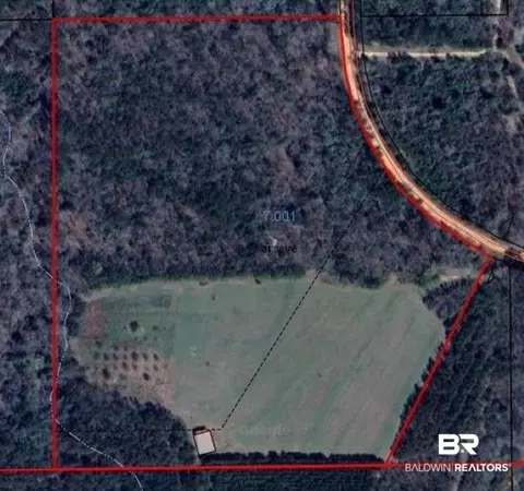 0 Langham St, Repton, AL 36475 photo 8