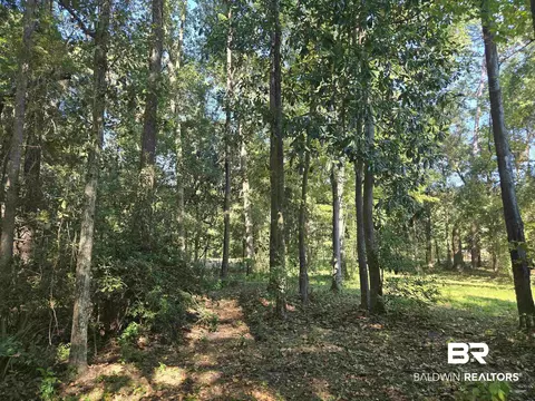 2554 Riverside Dr, Mobile, AL 36605 photo 33