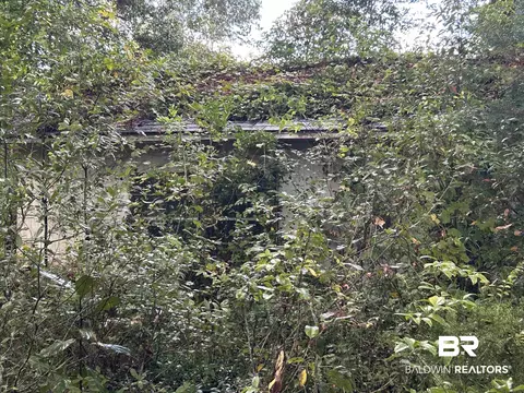 1305 Diane Ct, Mobile, AL 36618 photo 17