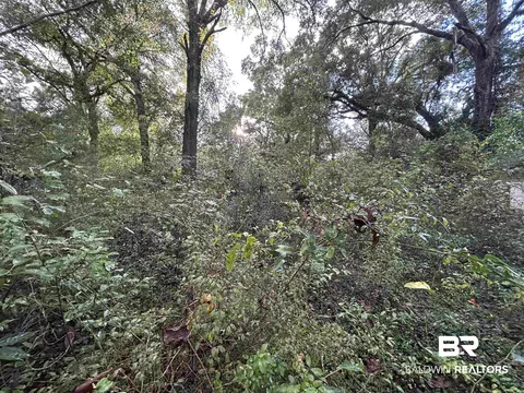 1305 Diane Ct, Mobile, AL 36618 photo 18