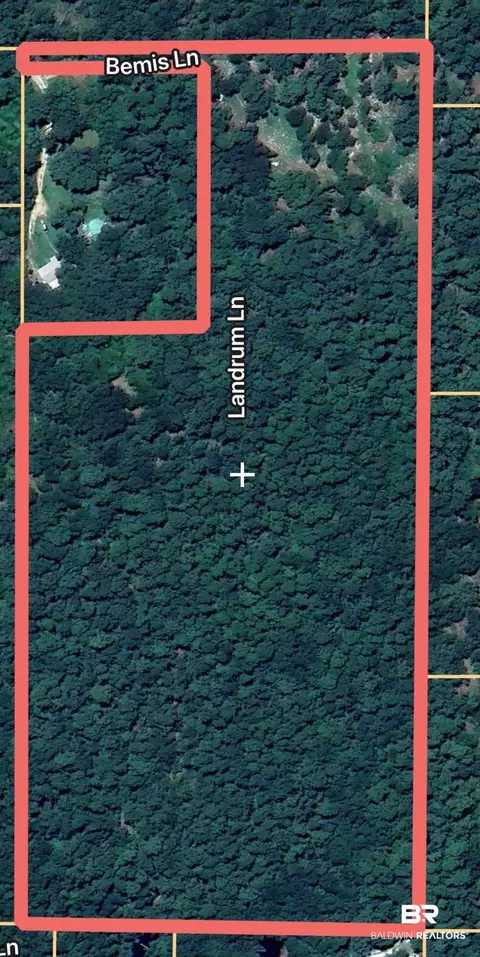 0 Bemis Ln, Foley, AL 36535 photo 2