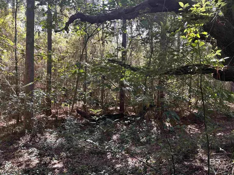 0 New Neck Rd, Mobile, AL 36695