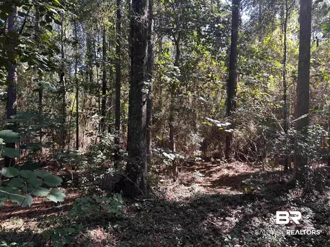 0 New Neck Rd, Mobile, AL 36695 photo 4