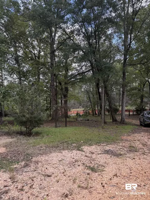 56 Thunder Rd, Evergreen, AL 36401 photo 34
