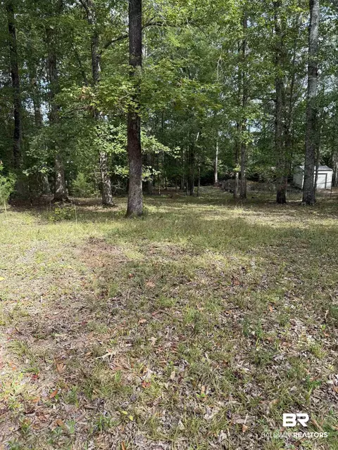 56 Thunder Rd, Evergreen, AL 36401 photo 26