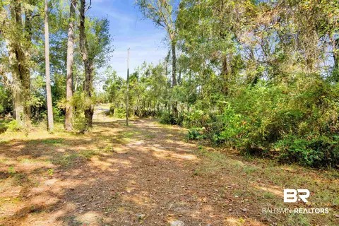 7623 Old Shell Rd, Mobile, AL 36608 photo 2