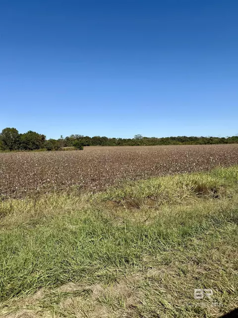 26520 County Road 67, Loxley, AL 36551