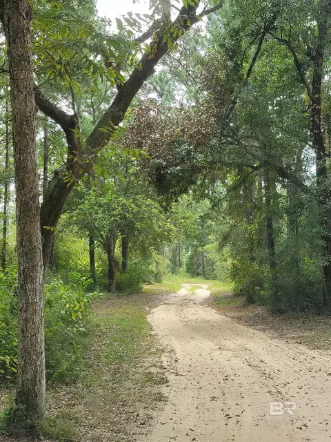 17505 Hansel Hodges Rd, Elberta, AL 36530