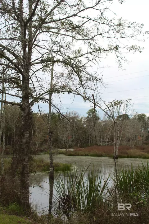 12211 Gateway Dr, Elberta, AL 36530 photo 54