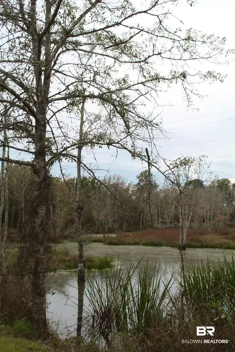 12211 Gateway Dr, Elberta, AL 36530 photo 54
