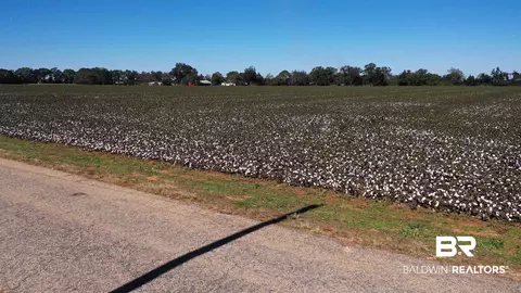 0 Godwin Rd, Jay, FL 32565 photo 8
