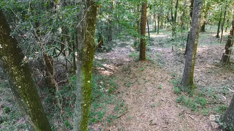 0 Old County Rd, Daphne, AL 36526 photo 6