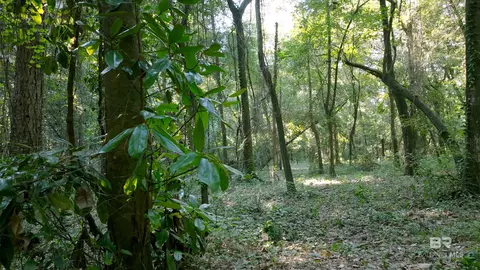 0 Old County Rd, Daphne, AL 36526 photo 5