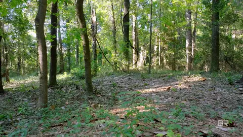 0 Old County Rd, Daphne, AL 36526 photo 8