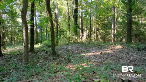 0 Old County Rd, Daphne, AL 36526 photo 8