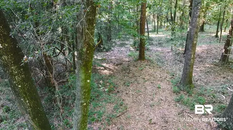 0 Old County Rd, Daphne, AL 36526 photo 6