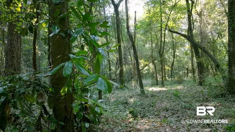 0 Old County Rd, Daphne, AL 36526 photo 5