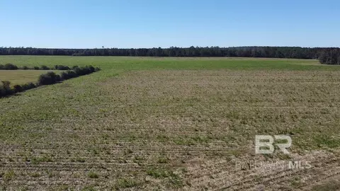 5600 Block Highway 97, Walnut Hill, FL 32568
