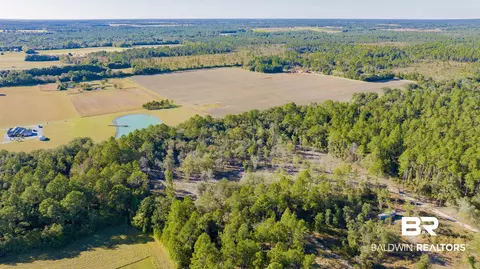 0 County Road 95, Elberta, AL 36530 photo 6