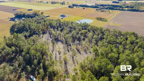 0 County Road 95, Elberta, AL 36530 photo 2