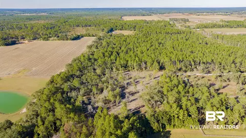 0 County Road 95, Elberta, AL 36530 photo 7