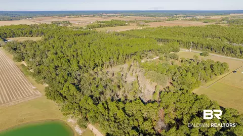 0 County Road 95, Elberta, AL 36530 photo 8