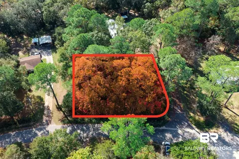 0 Bayou Jonas Dr, Coden, AL 36523 photo 4