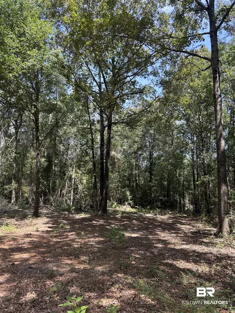 0 Dixie Rd, Brewton, AL 36426 photo 3
