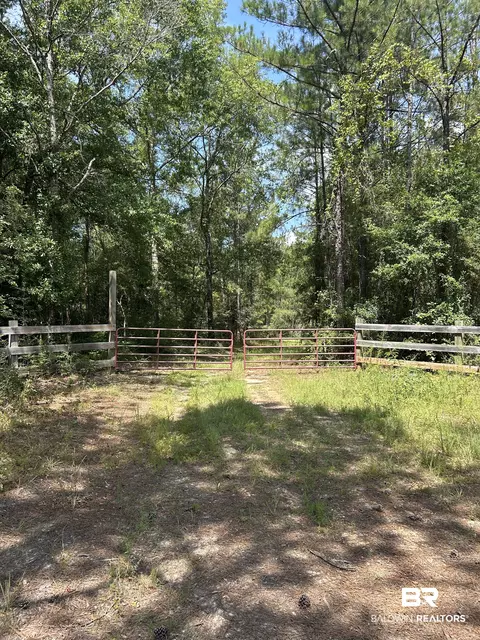 0 Dixie Rd, Brewton, AL 36426 photo 6