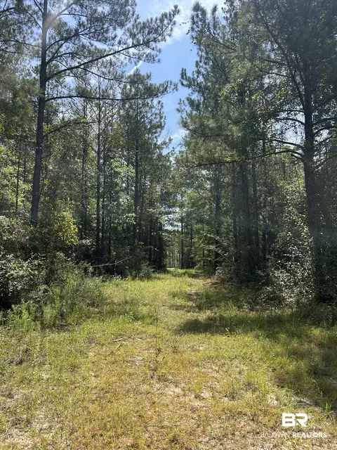 0 Dixie Rd, Brewton, AL 36426 photo 5